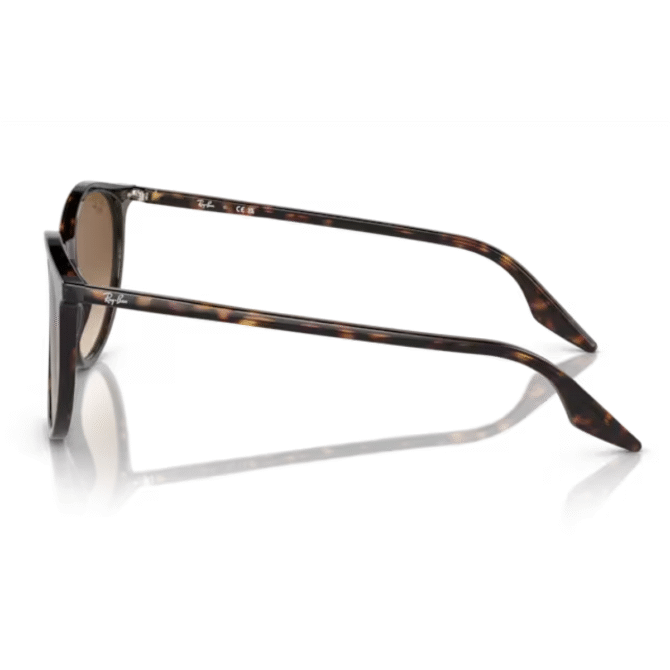 RayBan