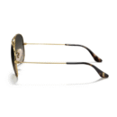 RayBan
