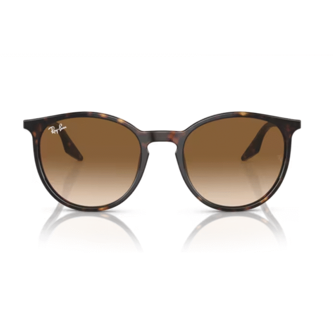 RayBan