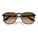 RayBan