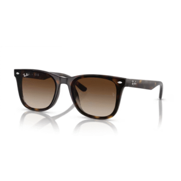 RayBan