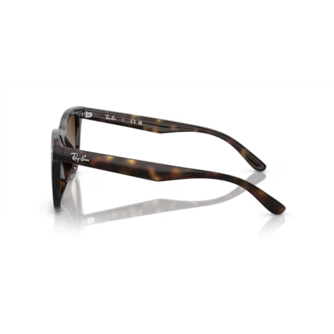 RayBan
