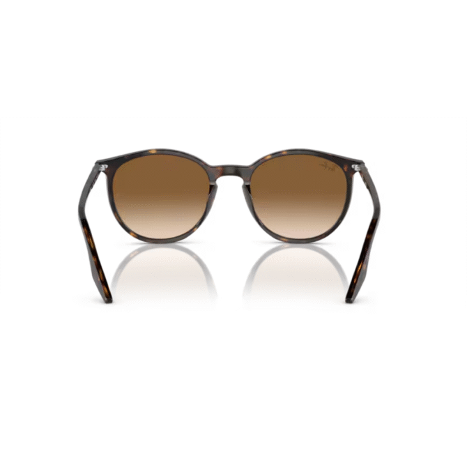 Rayban