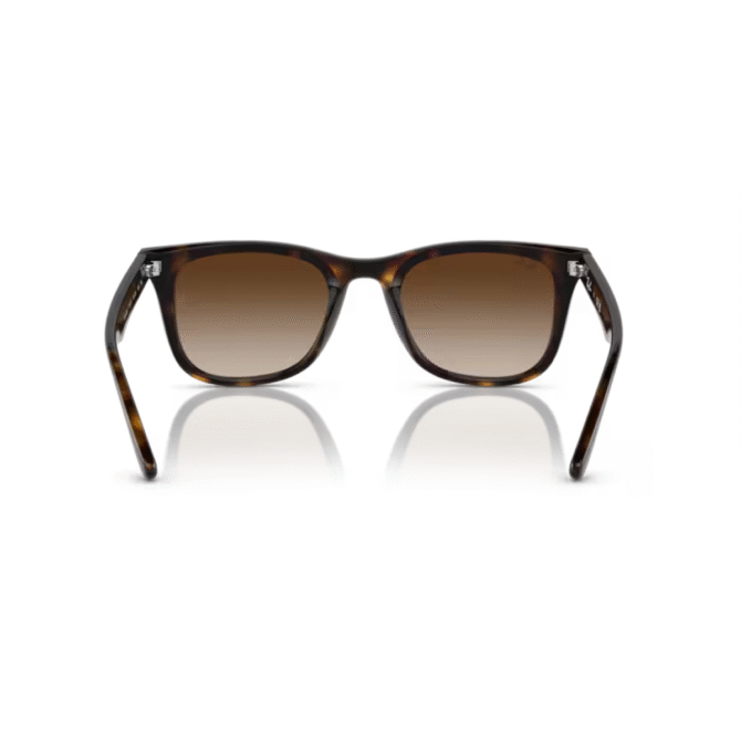 RayBan