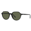 RayBan