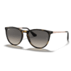 RayBan