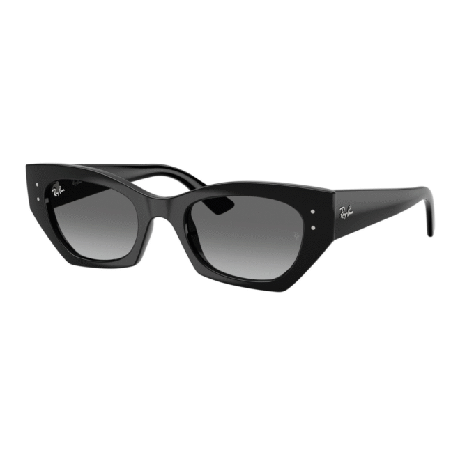 RayBan