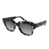 RayBan