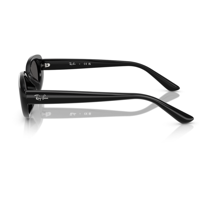 RayBan