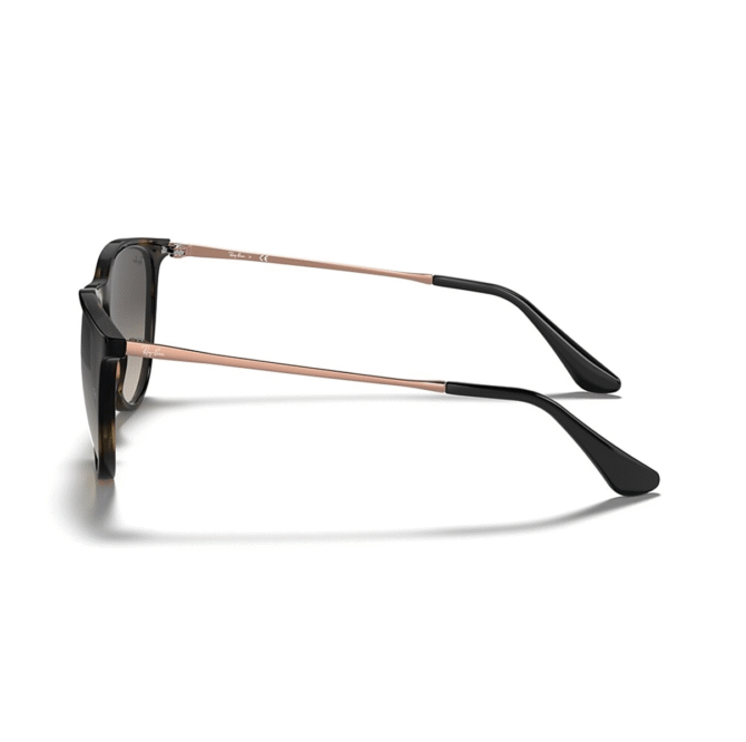 RayBan