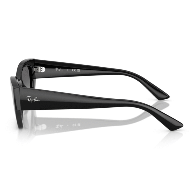 RayBan