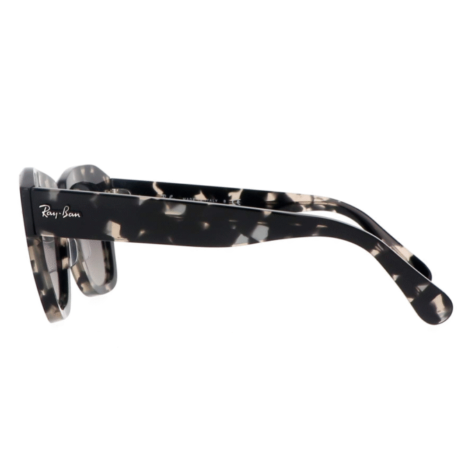 RayBan
