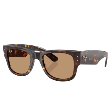 RayBan
