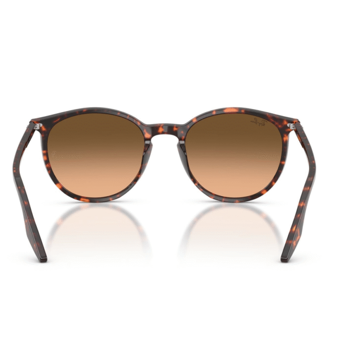 RayBan