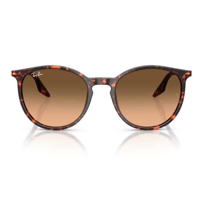 RayBan