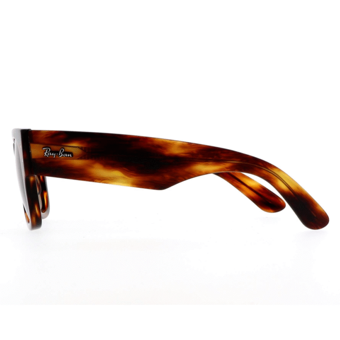 RayBan