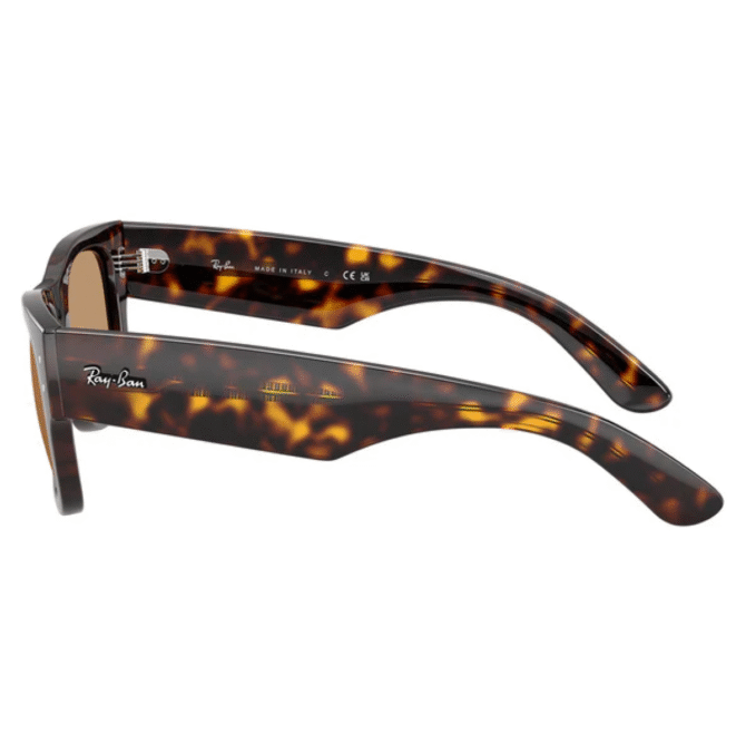 RayBan