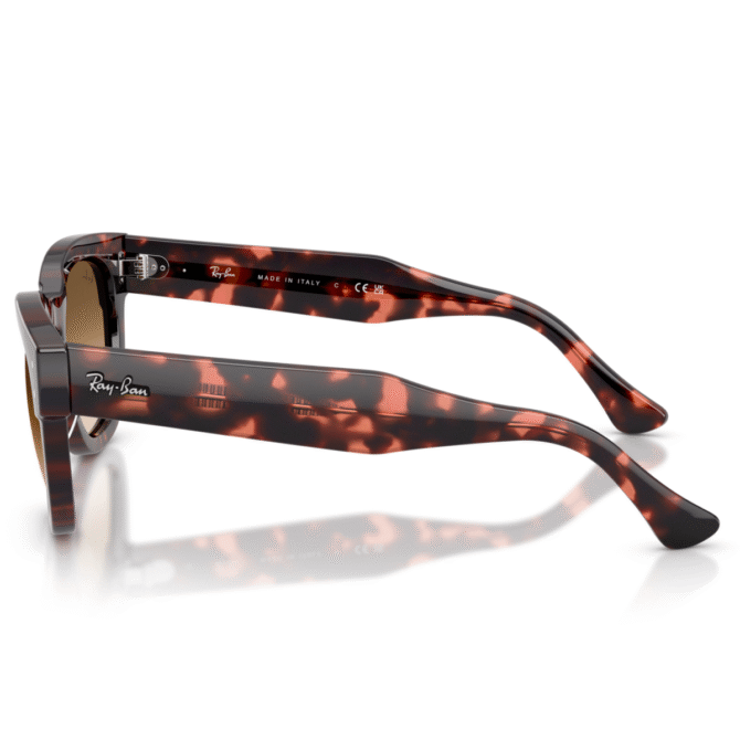 RayBan