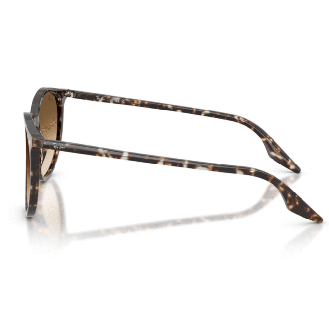 RayBan