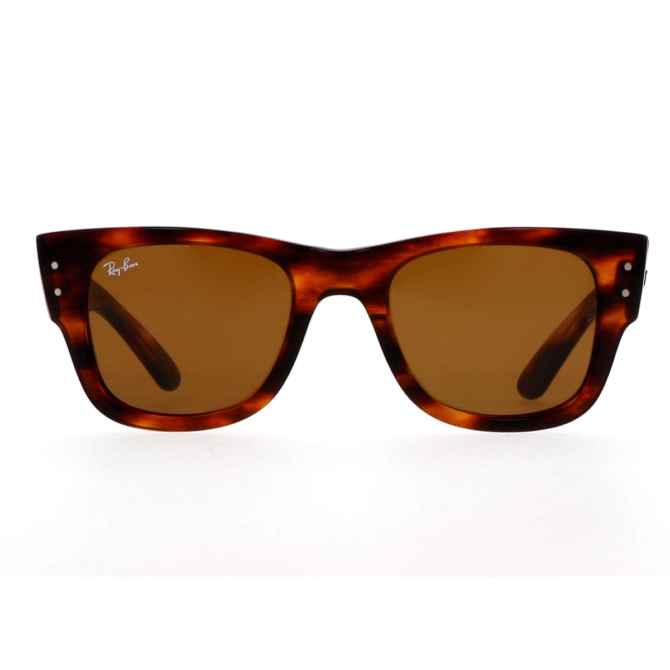 RayBan