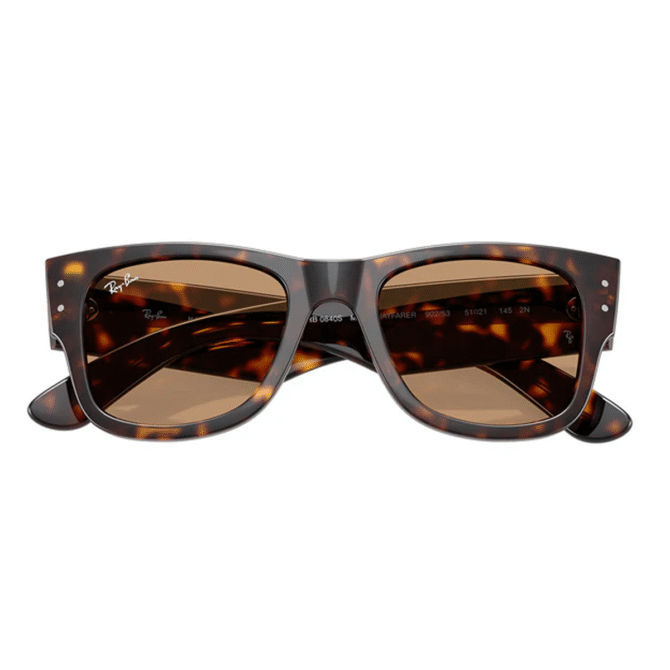RayBan
