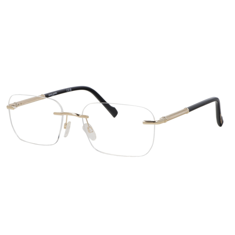Pierre Cardin